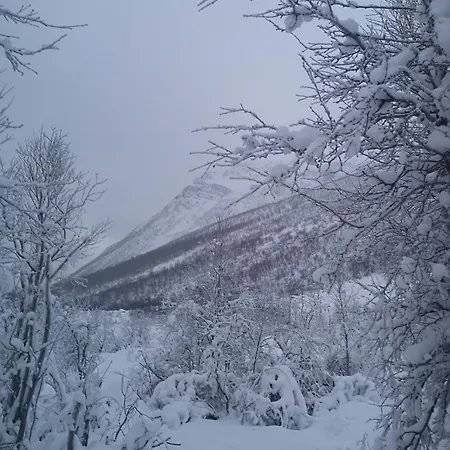 Apartment No1 Manndalen