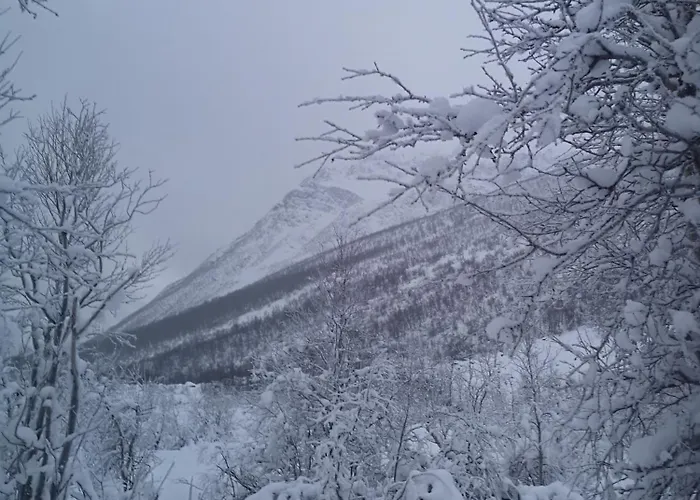 Appartement No1 Manndalen