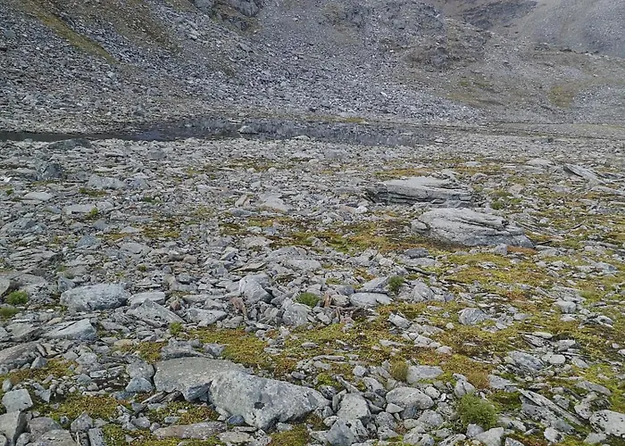 No1 Lägenhet Manndalen